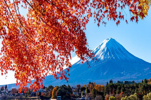 2025年日本留学趋势全解析：数据、政策与应对策略