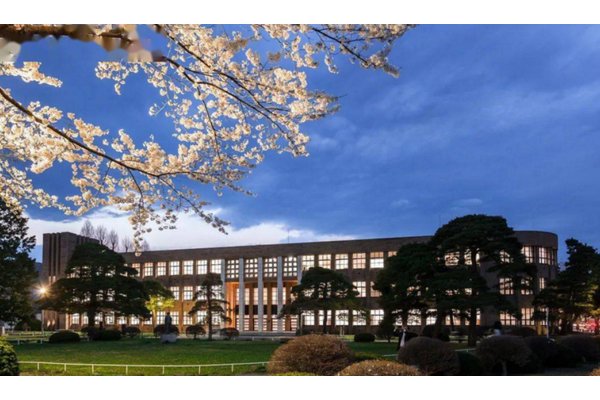 语言留学“去英语化”？非英语系国家语言学校吸引力持续上升