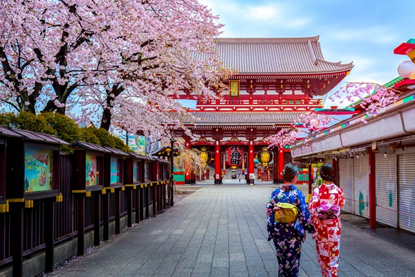 2025日本留学趋势：语言学校为何成为留学首选？