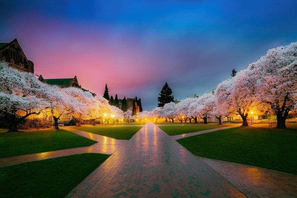 全面解析日本留学的十大优势