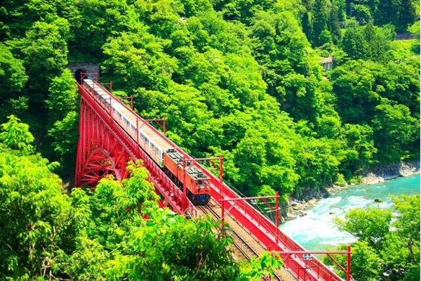 被语校耽误的一年：普通家庭最容易掉进的留学陷阱