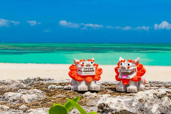 冲绳读语言学校：是向往自由，还是逃避现实？