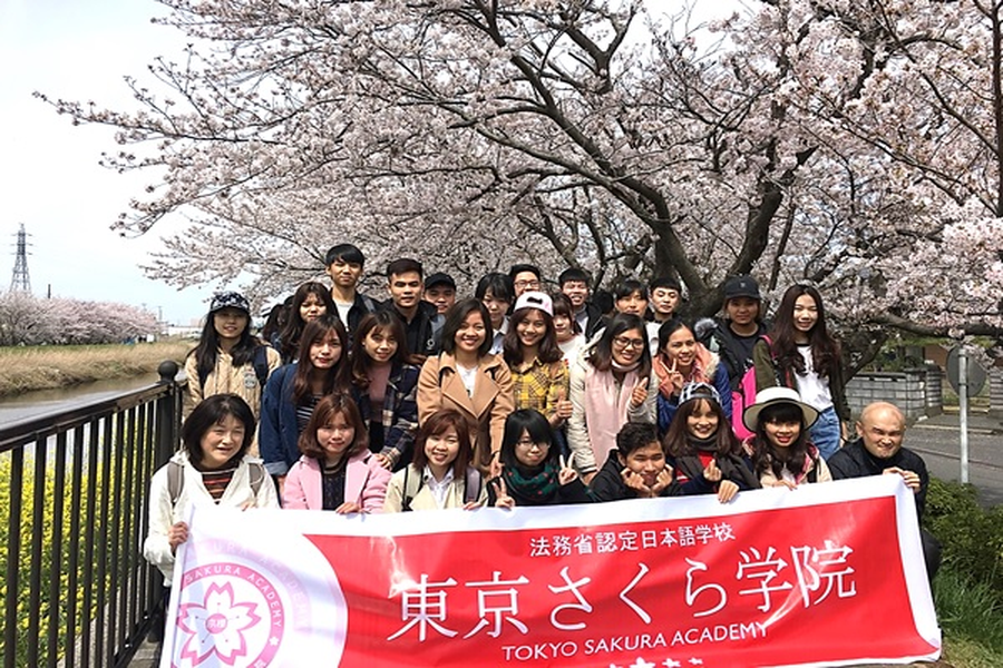 东京樱花学院（京樱学院）-3