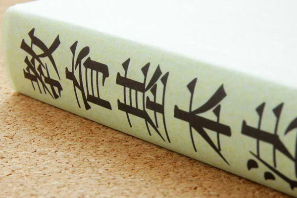 教育法第106条的“日本语教育机构”，到底是不是语言学校？