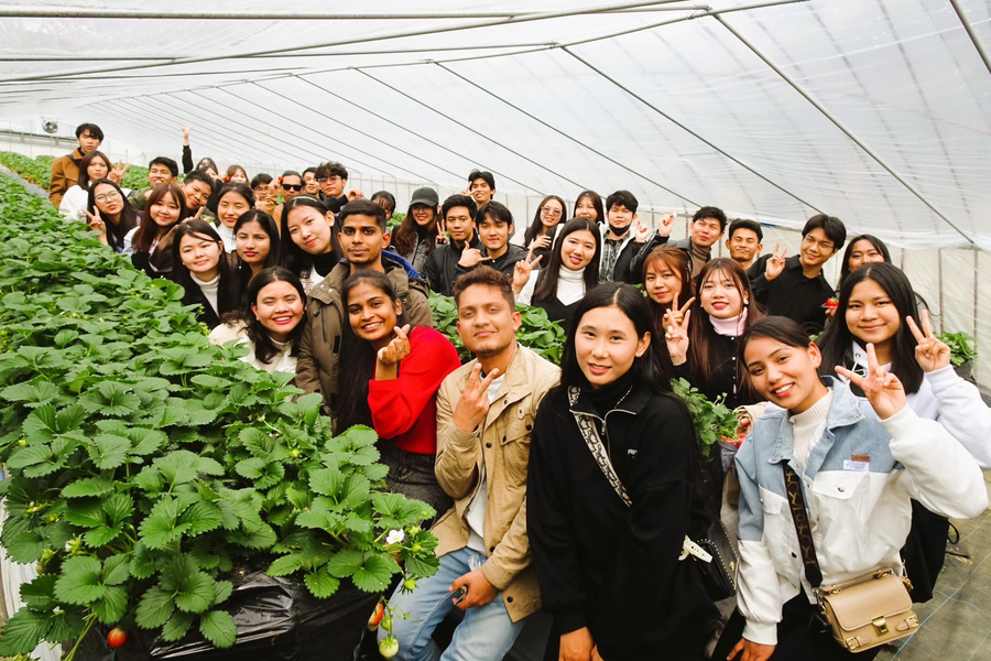 飞鸟国际学院-4
