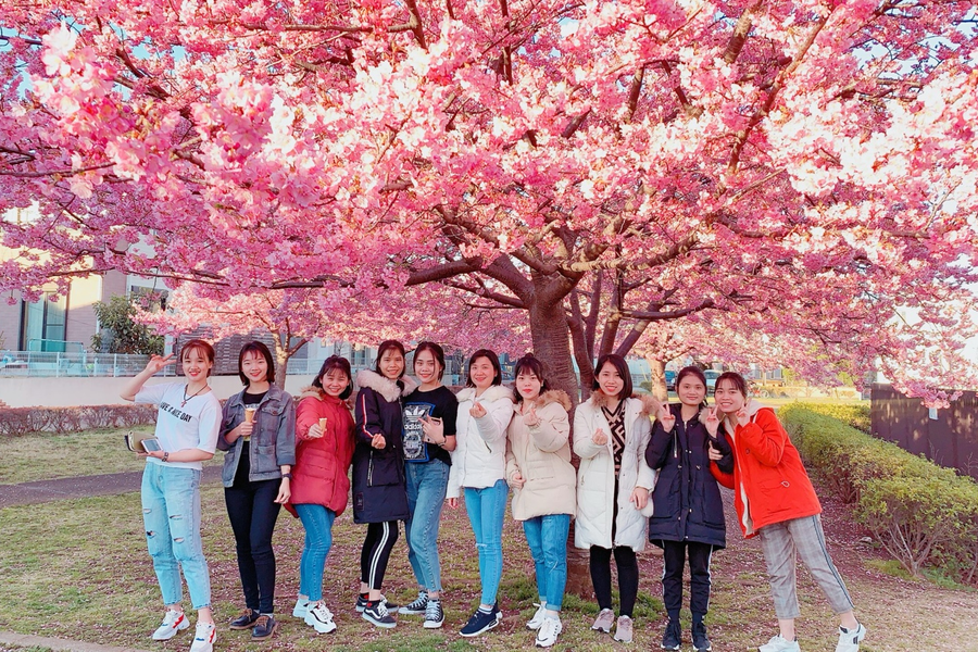 能达国际学院-5