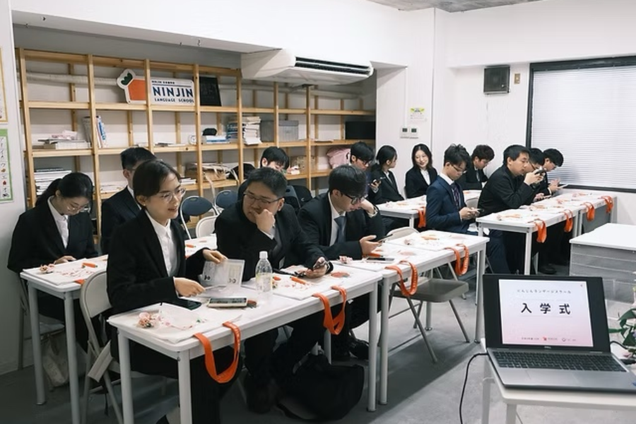 胡萝卜语言学校-2