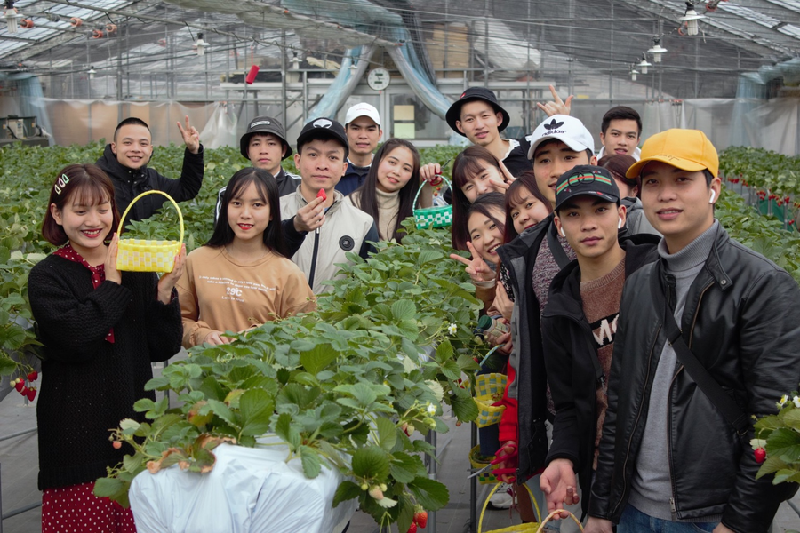 IGL医疗福祉专门学校（日语学科）-1