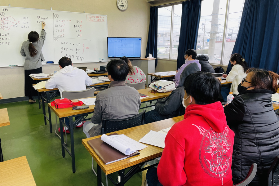 圣鸽国际学院-4