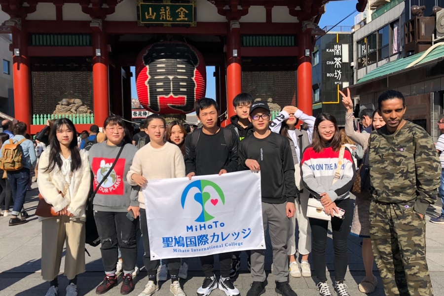 圣鸽国际学院-1